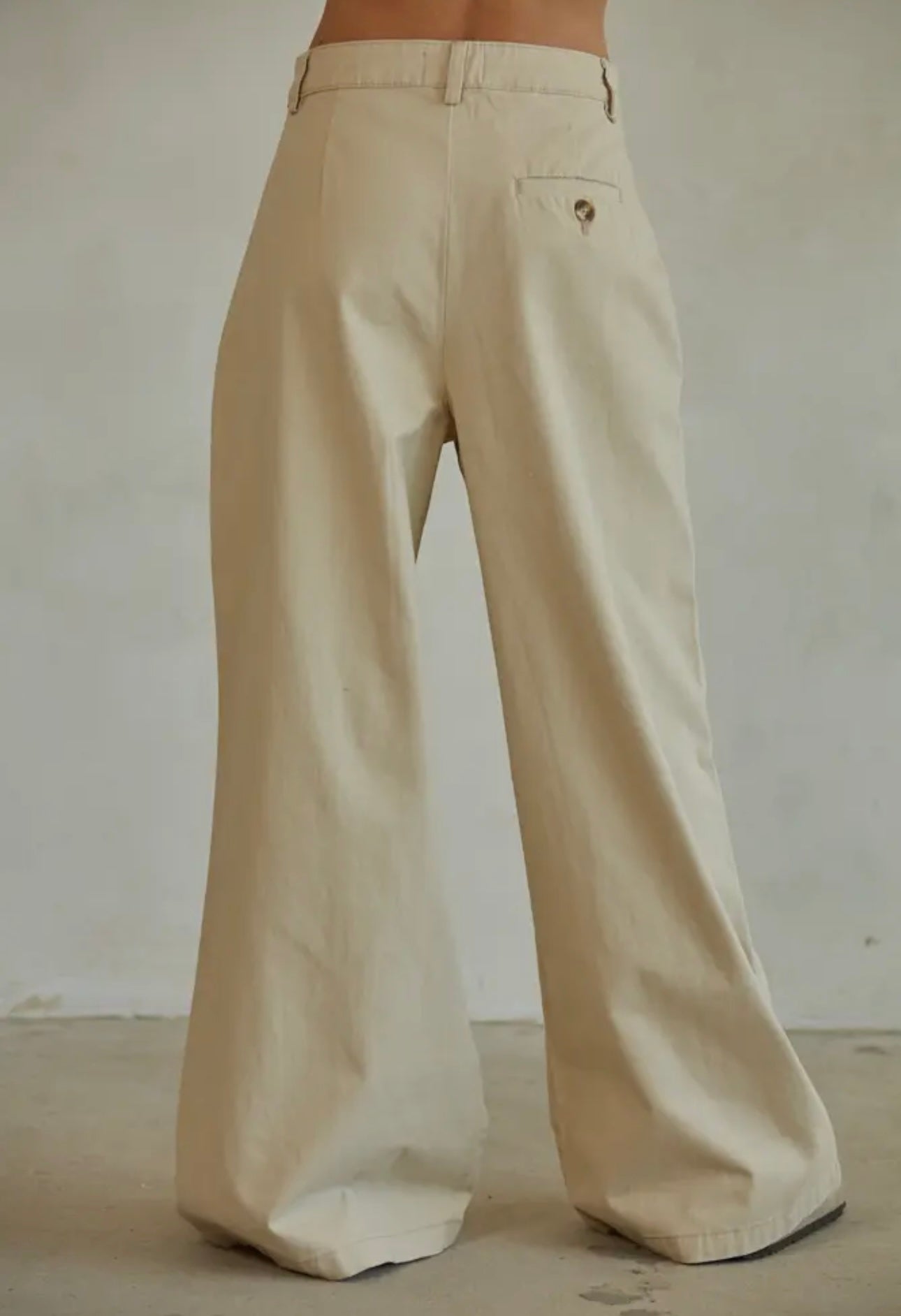 Twill Pleated Wide Leg Pants